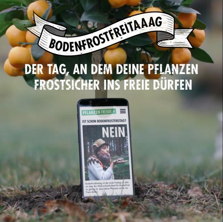 Bodenfrostfreitag