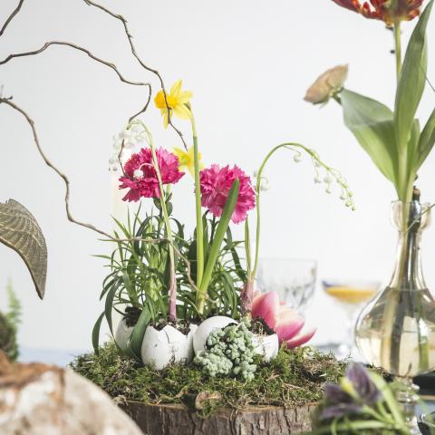 Easter 2019  - flowercouncil.co.uk